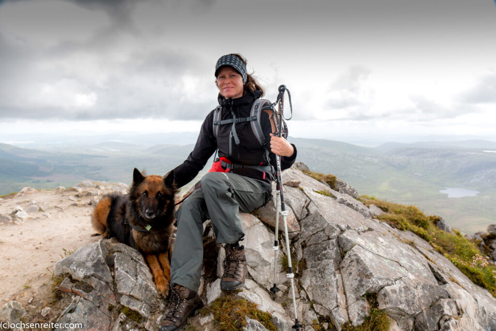 Errigal