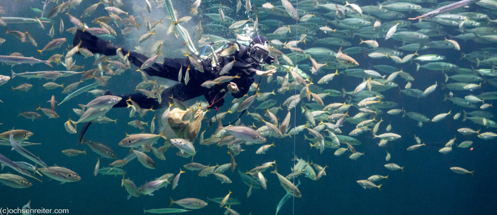 Nordsee Oceanarium