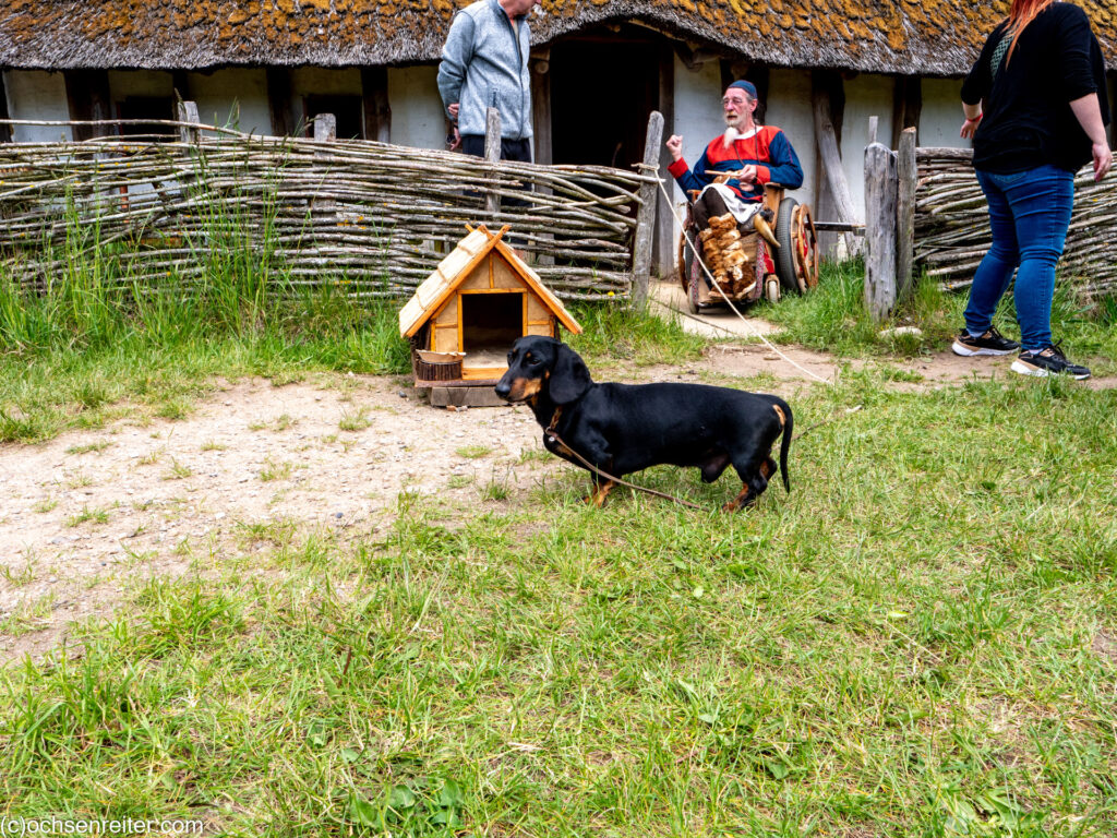 VikingeCenter