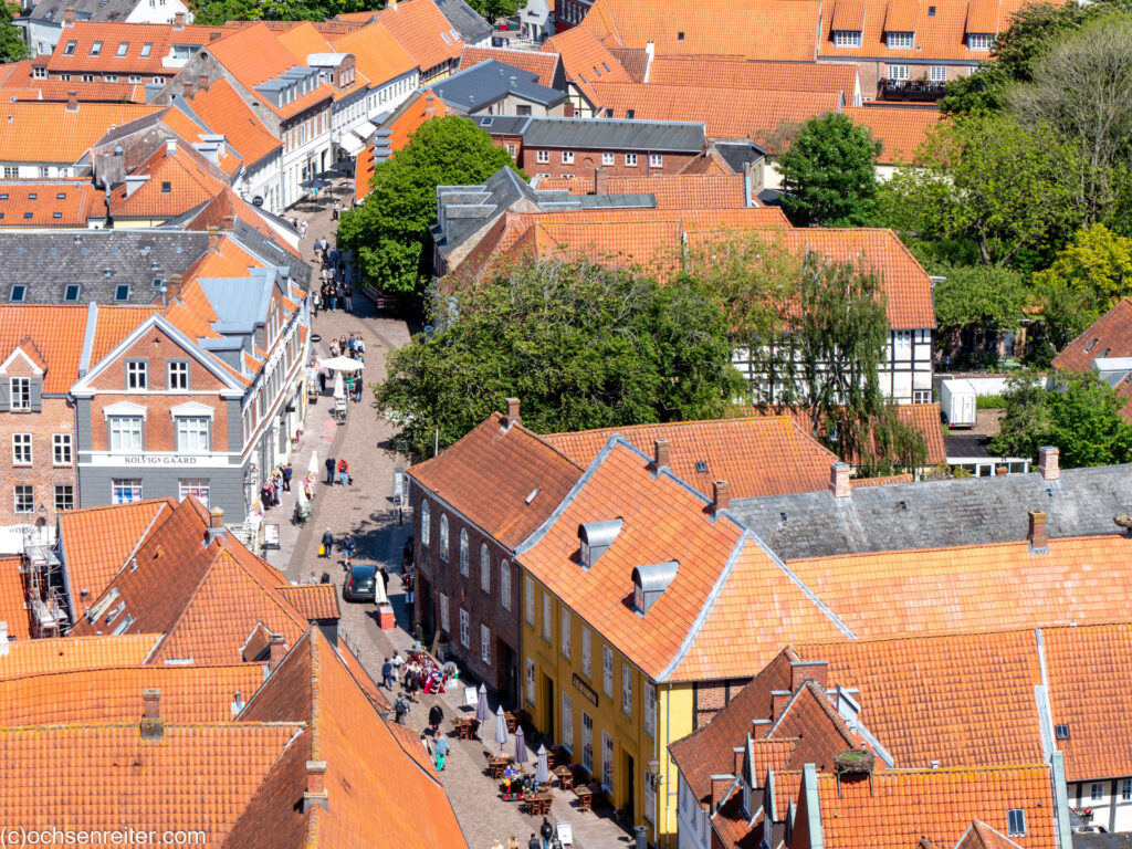 Ribe
